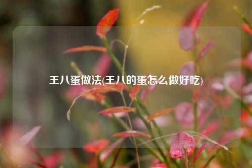 王八蛋做法(王八的蛋怎么做好吃)