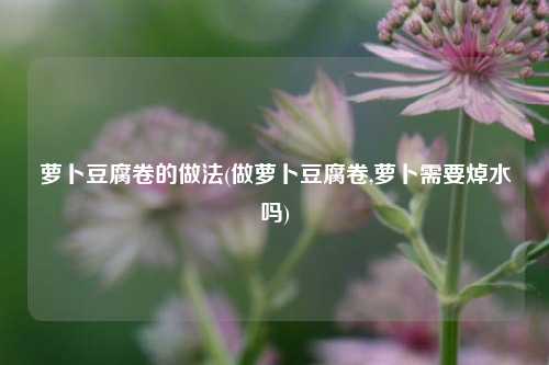 萝卜豆腐卷的做法(做萝卜豆腐卷,萝卜需要焯水吗)