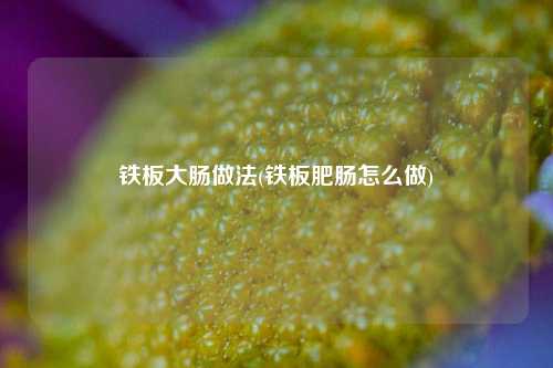 铁板大肠做法(铁板肥肠怎么做)