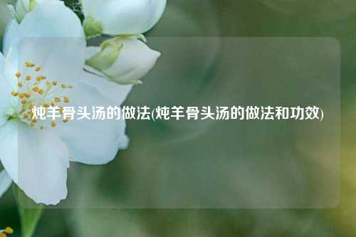 炖羊骨头汤的做法(炖羊骨头汤的做法和功效)