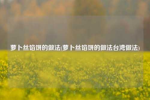 萝卜丝馅饼的做法(萝卜丝馅饼的做法台湾做法)
