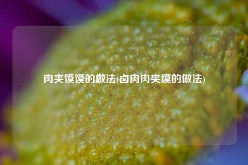 肉夹馍馍的做法(卤肉肉夹馍的做法)
