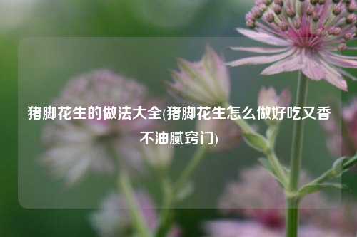 猪脚花生的做法大全(猪脚花生怎么做好吃又香不油腻窍门)