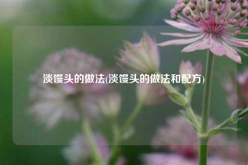 淡馒头的做法(淡馒头的做法和配方)