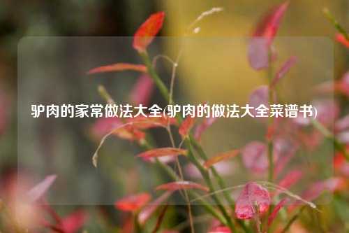 驴肉的家常做法大全(驴肉的做法大全菜谱书)
