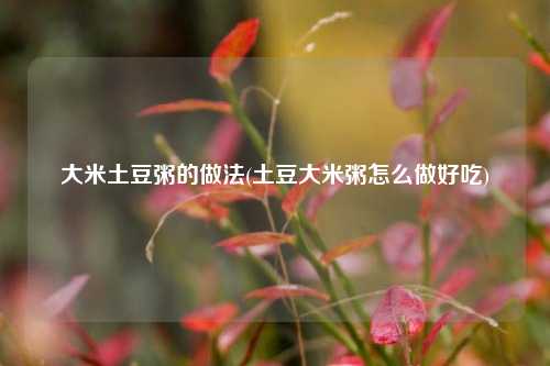 大米土豆粥的做法(土豆大米粥怎么做好吃)