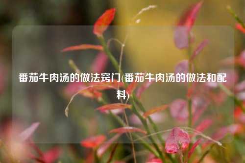 番茄牛肉汤的做法窍门(番茄牛肉汤的做法和配料)
