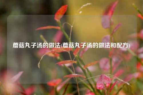 蘑菇丸子汤的做法(蘑菇丸子汤的做法和配方)