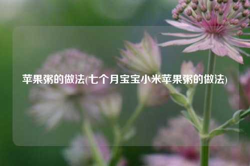 苹果粥的做法(七个月宝宝小米苹果粥的做法)